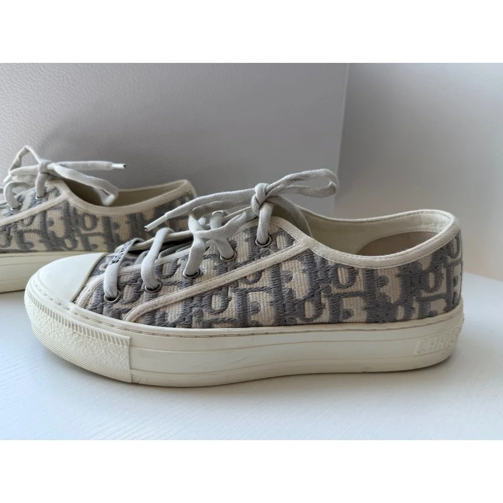 Dior authentic walk